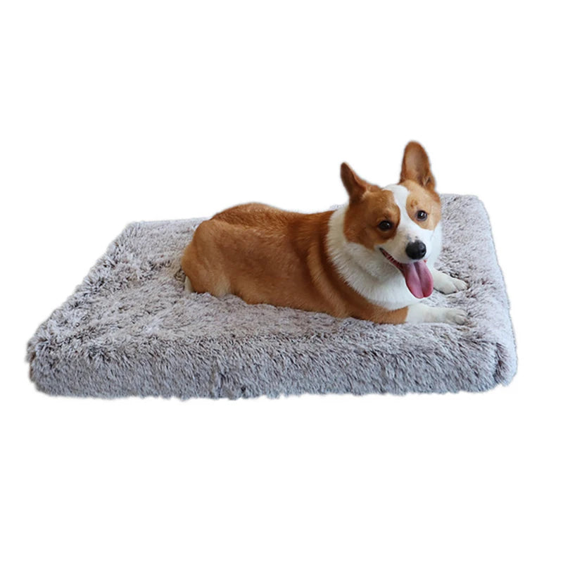 Soft Plush Dog Mat – Washable Cushion Bed in 4 Sizes