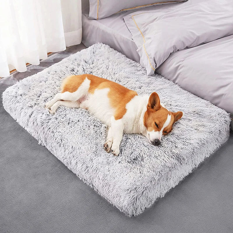 Soft Plush Dog Mat – Washable Cushion Bed in 4 Sizes